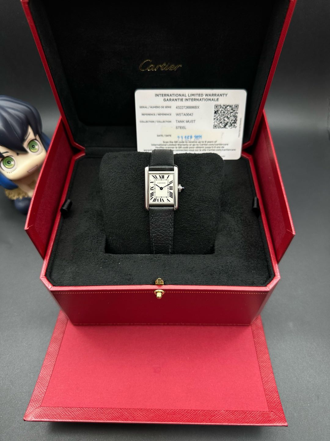 Cartier WSTA0042