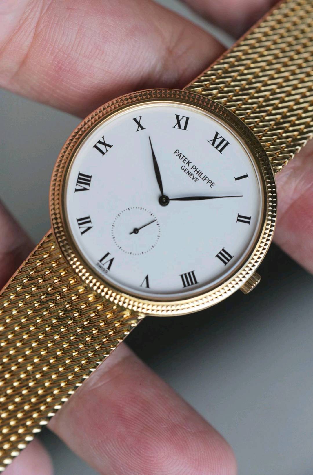 Patek Philippe Ref.3919 / 5