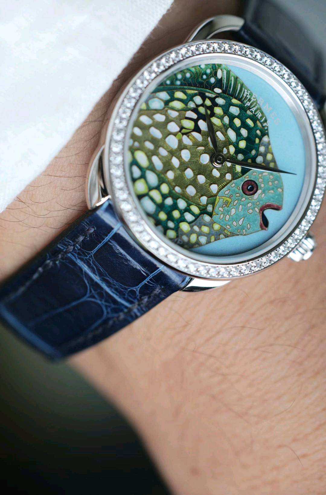 Herm&egrave;s AP Anita Porchet