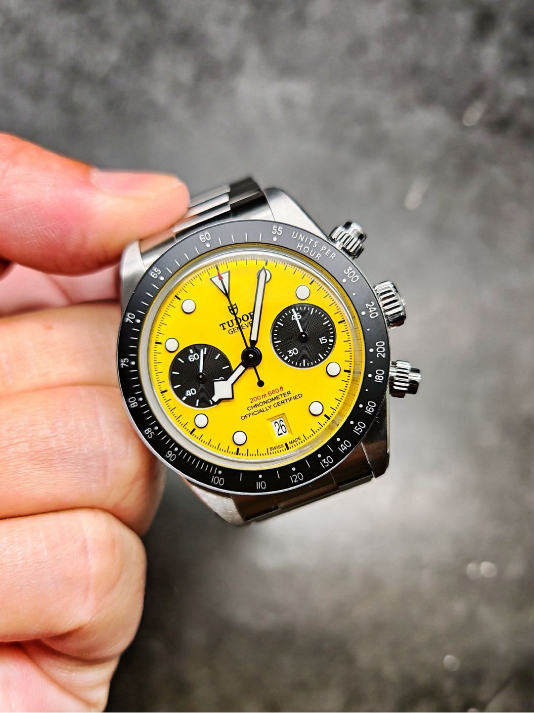 Tudor 79310N-0001